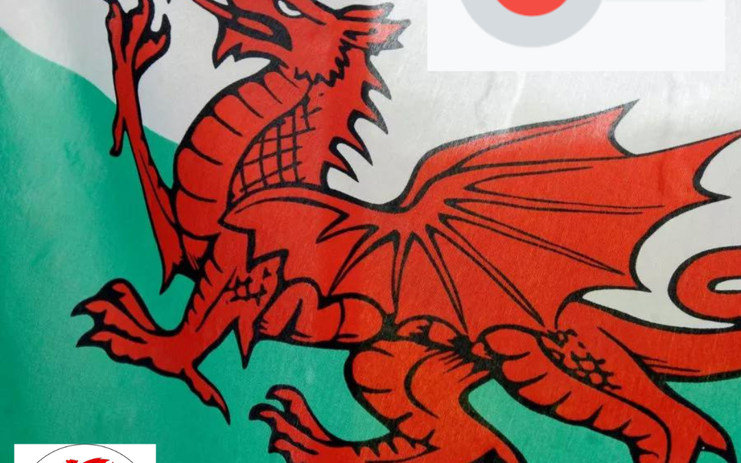 Google’s voice recognition – the Welsh language – a stumbling block for TECS?